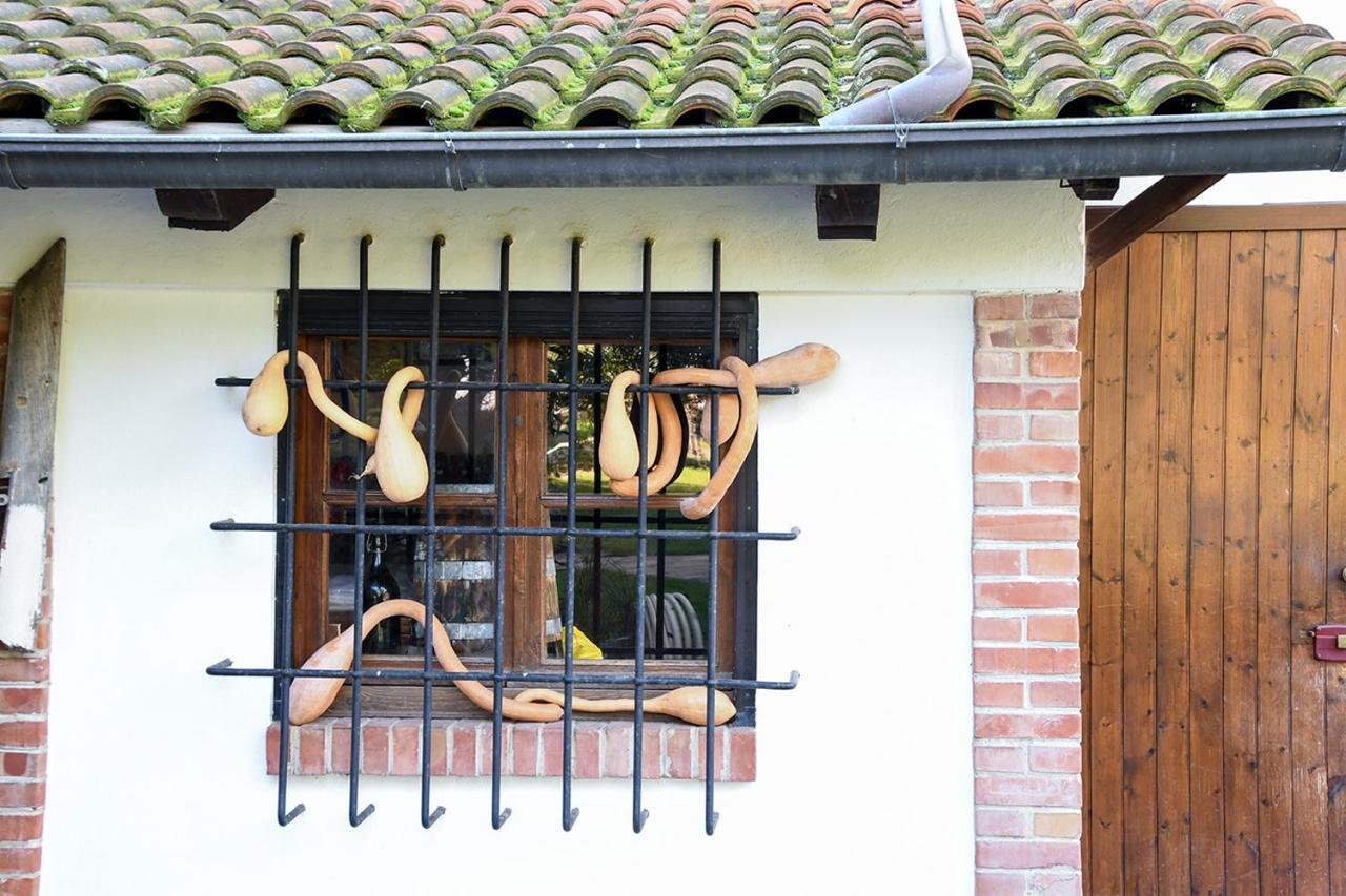 Casa Zafferano Pension Albenga Buitenkant foto